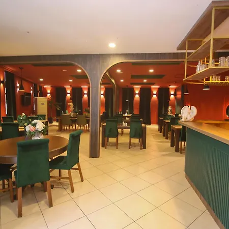 Cevik Palace 2*