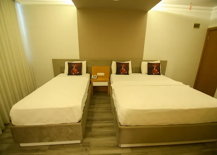 Ξενοδοχείο Cevik Palace 2*