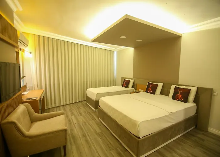 Cevik Palace ホテル