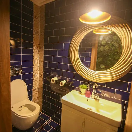 Cevik Palace מלון 2*