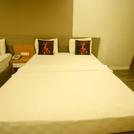 Cevik Palace מלון 2*