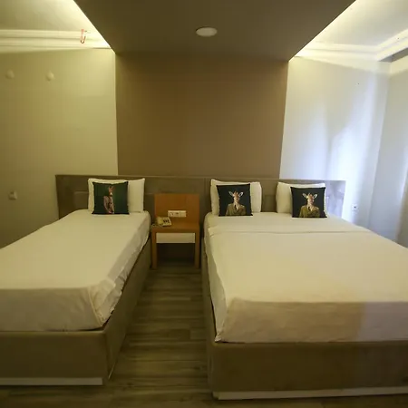 Cevik Palace מלון
