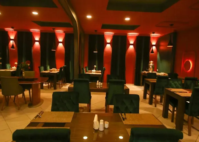 çevık Palace Hotel 2*