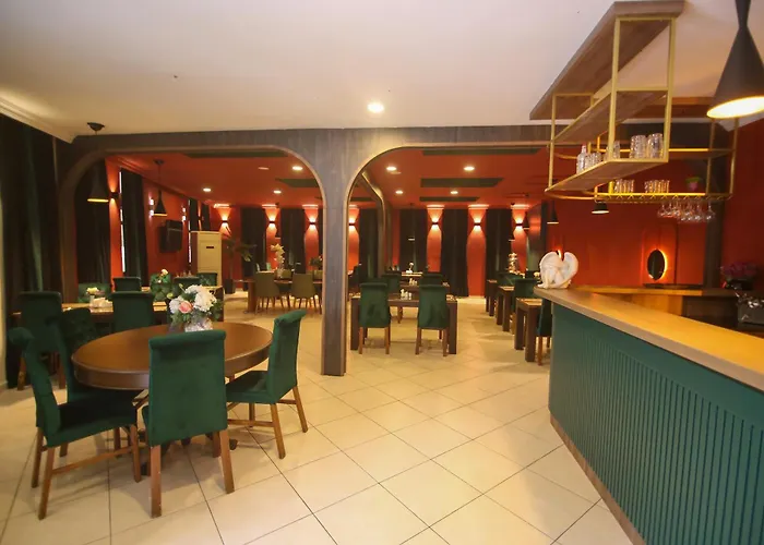 çevık Palace 2*